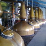 Stills at Laphroaig – First 4 spirit stills and then 3 wash stills