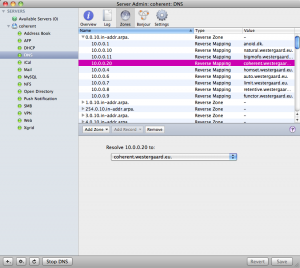 Reverse (PTR) DNS Mapping